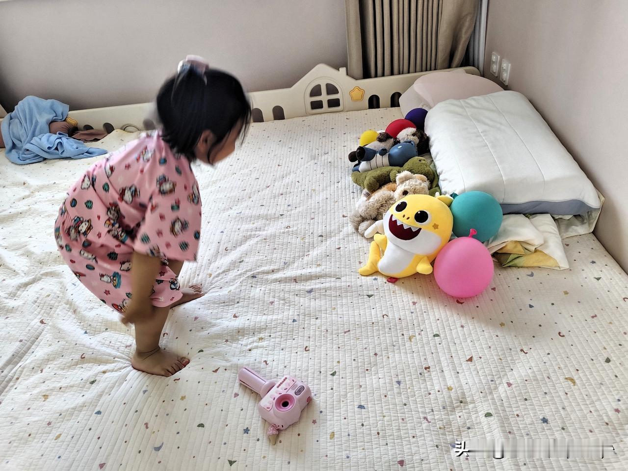 爱狗人士最有发言权，如果你养了一只狗狗已经10岁了，这个时候你们又生了一个女宝宝