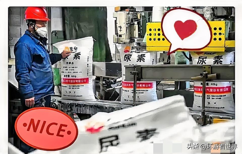 霍尔木兹海峡那边还没消停，谁能想到，咱们西北新疆、宁夏和内蒙的尿素厂却忙得脚不沾