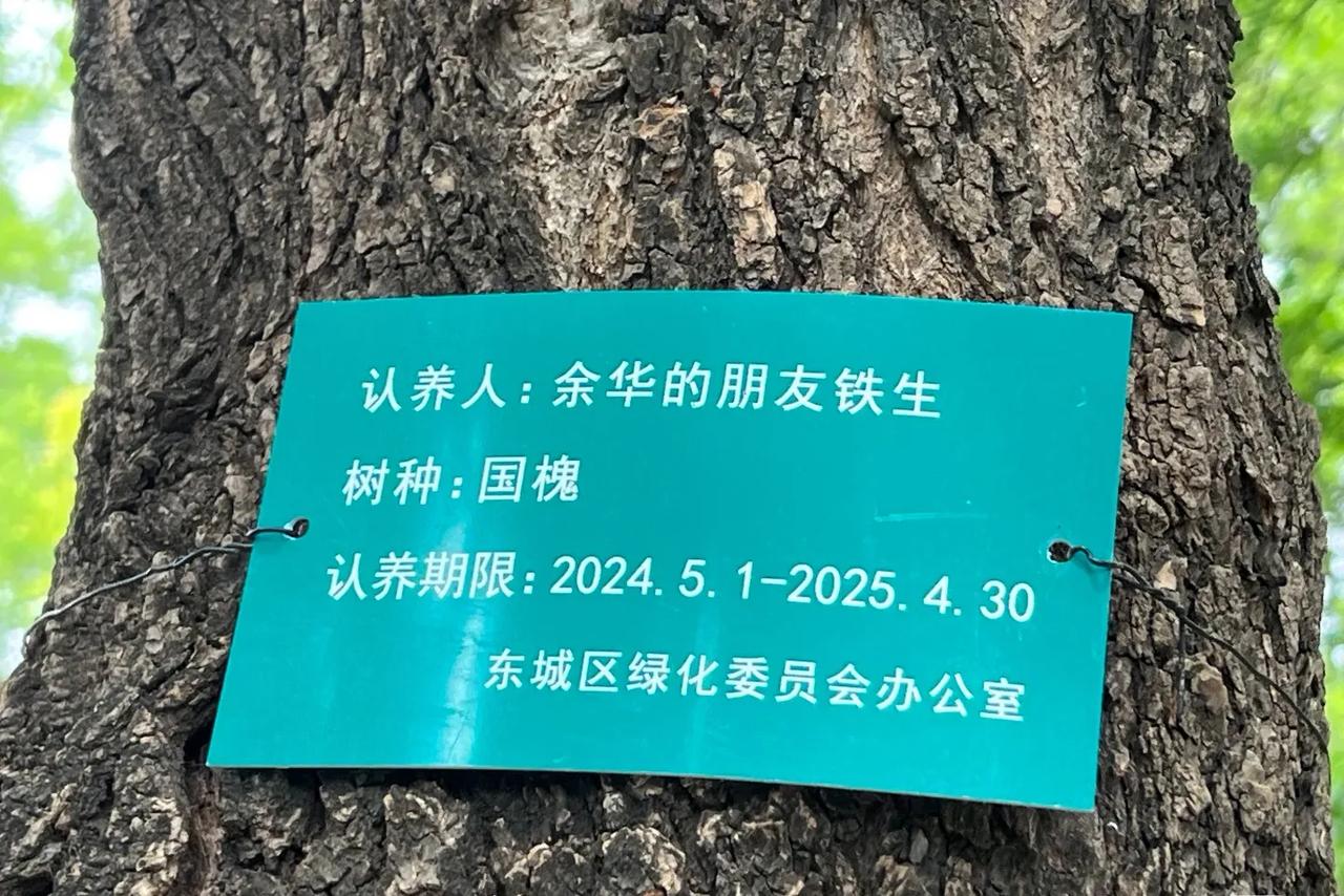 网友在公园里看到的，一共两棵树，一棵是余华的朋友铁生认养的，一颗是铁生的朋友余华