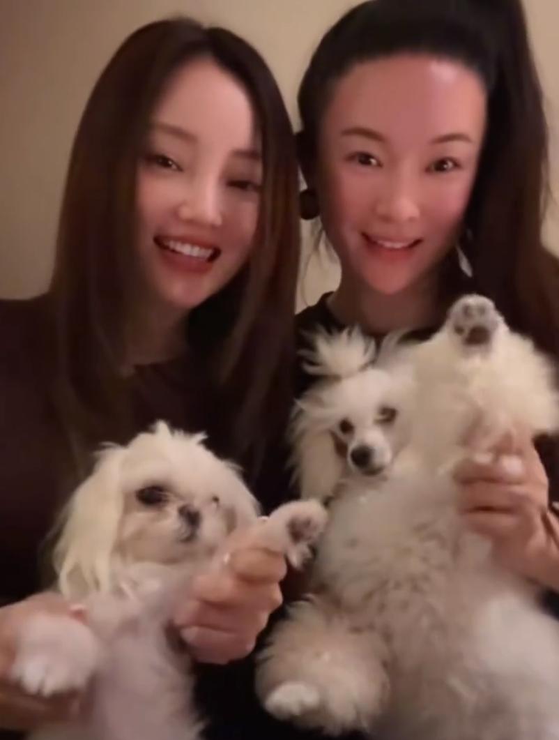 霍思燕和李小璐两家人一块出去旅游
这俩又玩到一块去了，谁还记得当年的泰迪姐妹团，