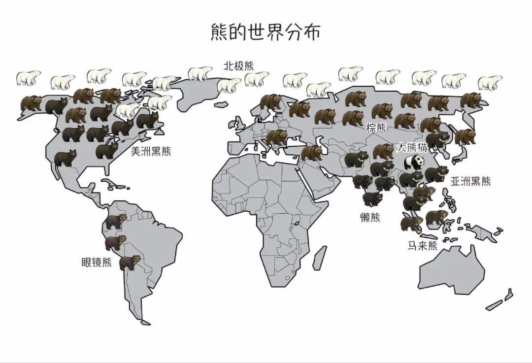 非洲大陆有没有熊？看起来熊类体型巨大、食性极杂、力量出众、天敌又少，难道征服不了