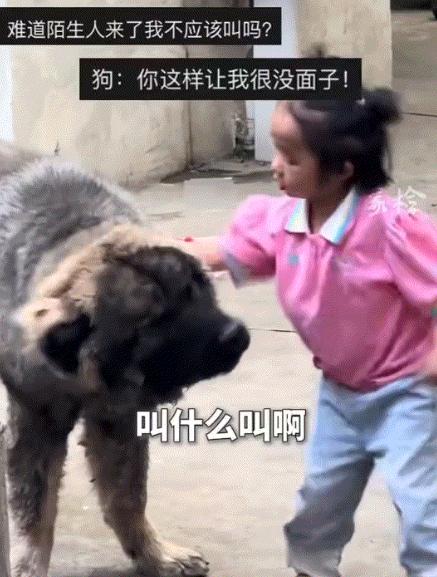 笑不活，福建，一男子到厂里找厂长办事，结果被护厂狗“堵住”狂吠，随即厂长的女儿来