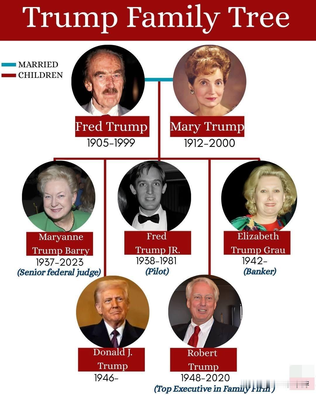 从房地产王朝到入主白宫：特朗普家族的传奇遗产 
（源自网络，仅供参考）
唐纳德·