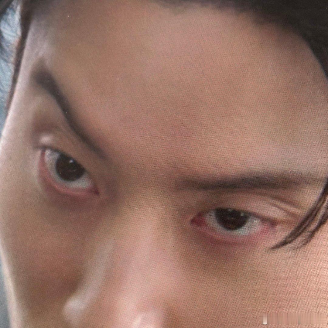 老实讲居然能看到活的三次元单眼皮的亚楠做出这个单边挑眉还挺震撼的…