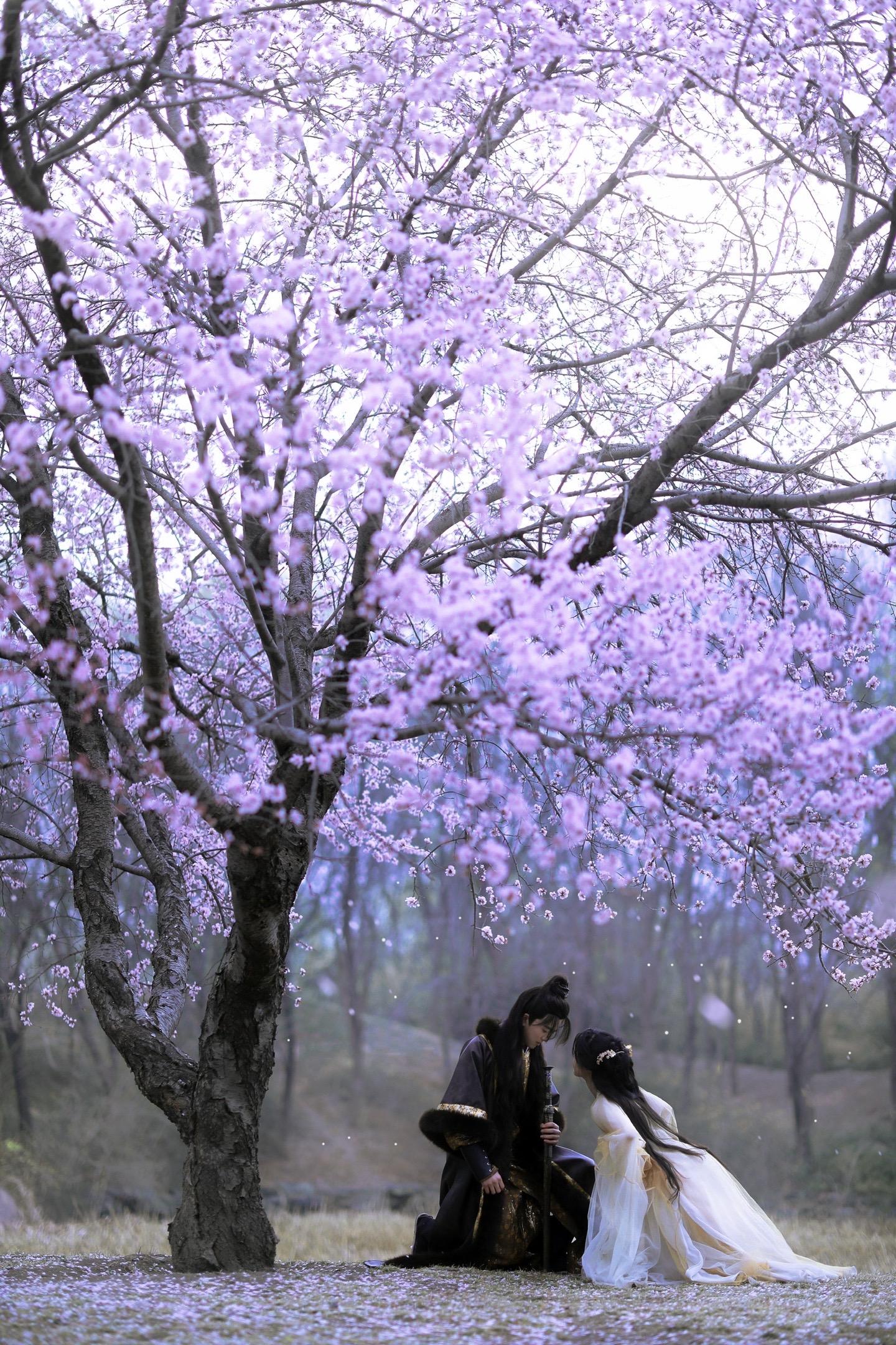 落花时节又逢君”花开花落，物是人非。