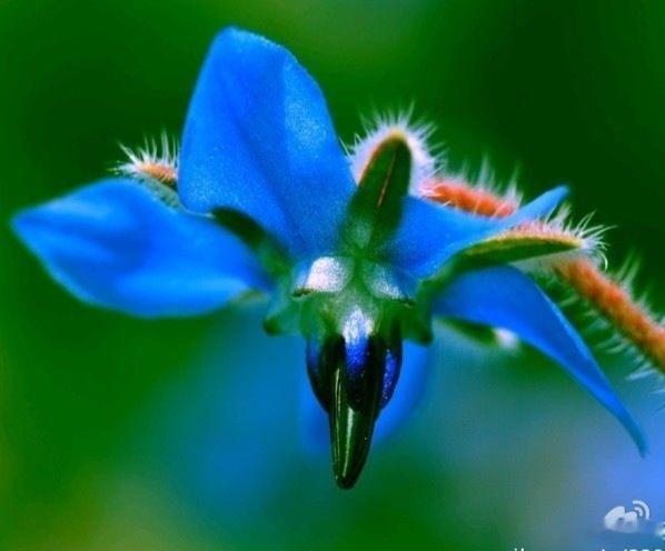 '早安早安,新的一天治愈不开心人生感悟人生微语早安心语 情感语录每天说早安心情日