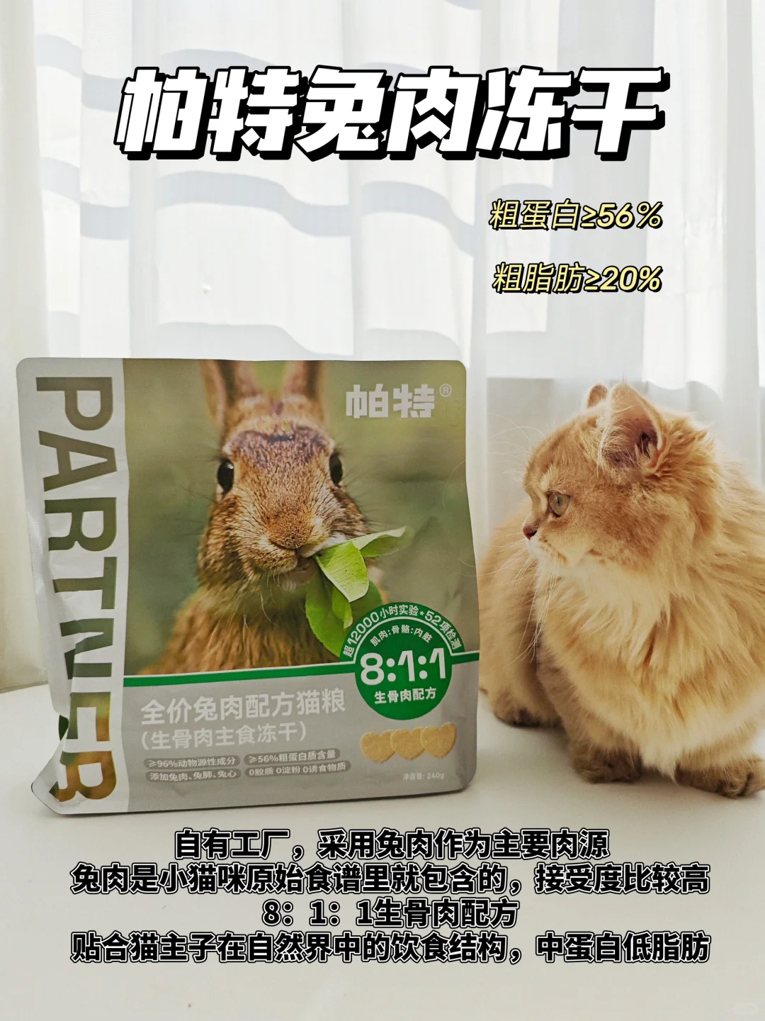 新手养猫｜主食冻干如何选