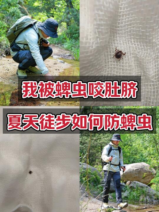 夏天徒步，如何更好的防止被蜱虫咬伤？