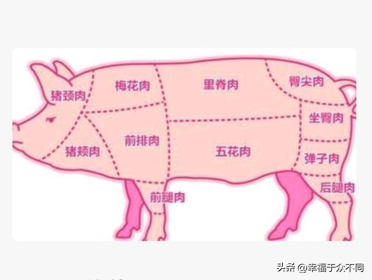 猪身上哪块肉最好吃？
我以前误认为猪身上最好吃的肉是小里脊。因为小里脊肉，全是红