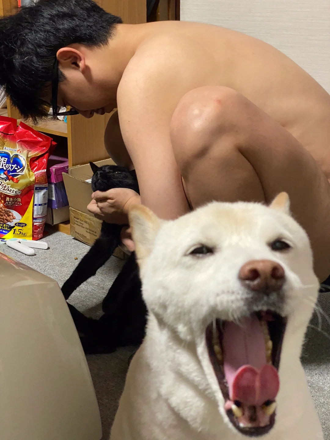 所以，爱会消失吧