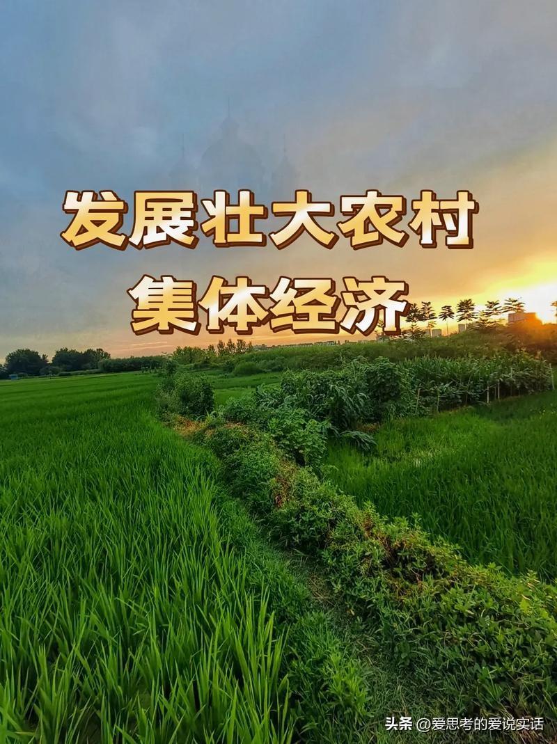 别听那些人瞎嚷嚷：“全国百强村靠的全是集体经济，没一个搞包产到户的”，这就是明显