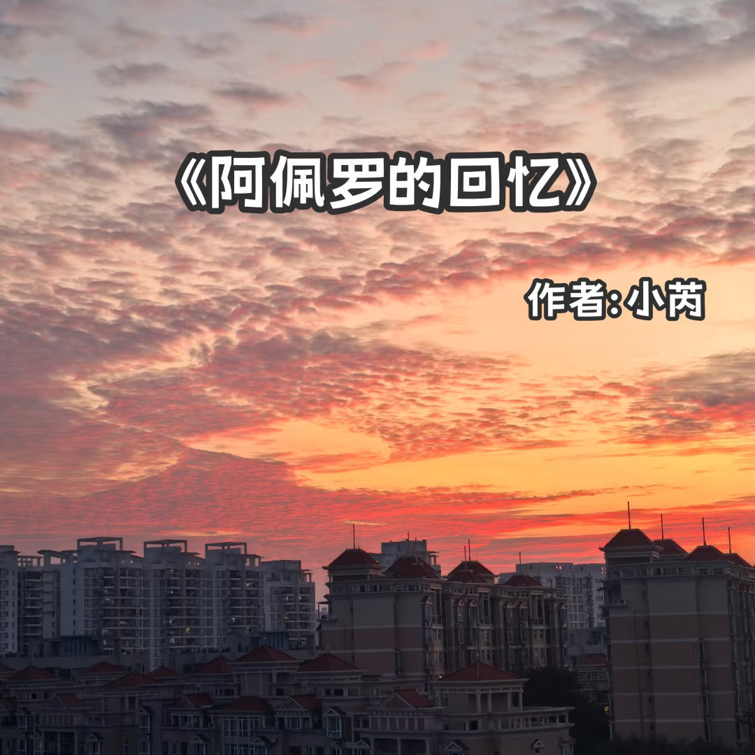 宅家小说｜破镜重圆《阿佩罗的回忆》