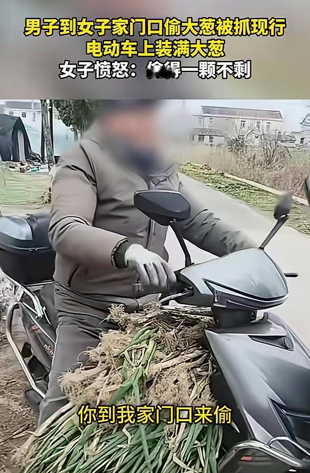 世界之大，无奇不有啊！一大爷去别人家偷大葱，你偷就偷吧，你还用车来拉，偷一次也就