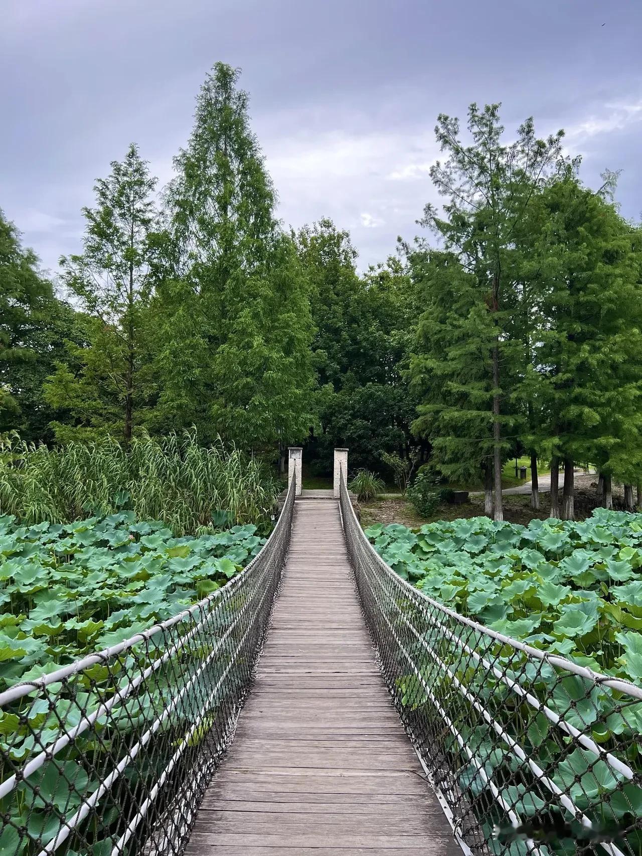 这世界上，
没有什么好不好的关系，
只有需不需要的关系。
就是最亲的人，
也是一