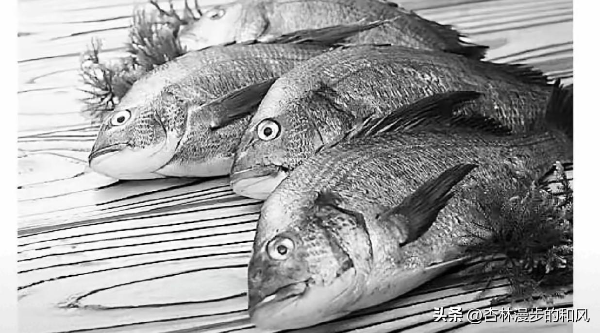 活鱼麻醉→中国人迟早把中国人整死，这黑心钱你也敢赚！心忒黑了。3月22日央视财经