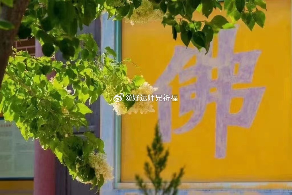 其实，当一个人真正心甘情愿去爱一个人的时候，得到滋养的并不只有对方，自己也会被这