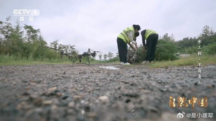 树苗坐无人机空降在陕西蓝田县焦岱镇，传统的植树方式面临着山高谷深、地形险峻的挑战