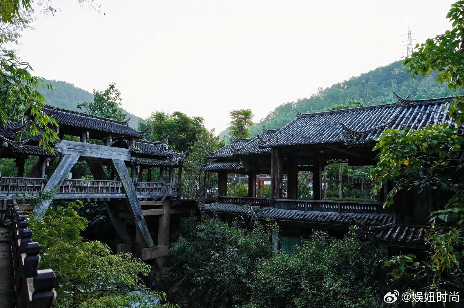#云南墨江以农促旅助力乡村振兴#说得对呀！云南普洱墨江的确是个美丽的地方呢，茶香