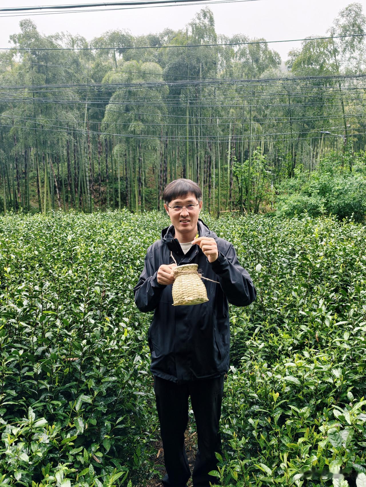 今天在杭州的径山村——"中国禅茶第一村"，体验径山茶的采茶、炒茶、揉茶、泡茶、喝