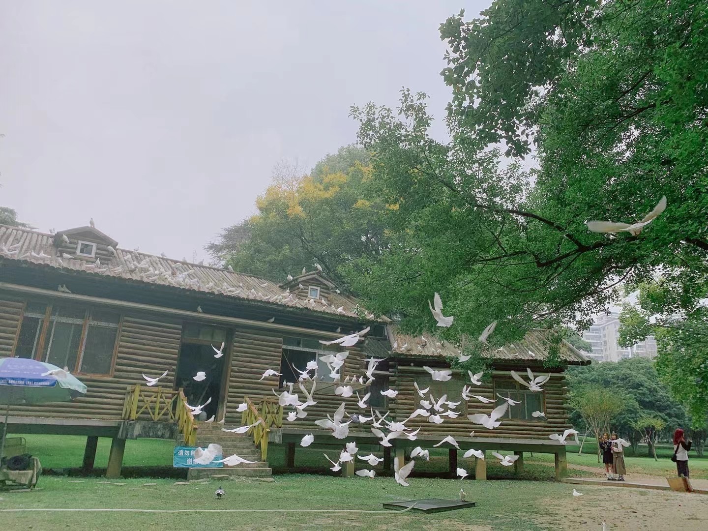 你的回话凌乱着 在这个时刻  ​​​