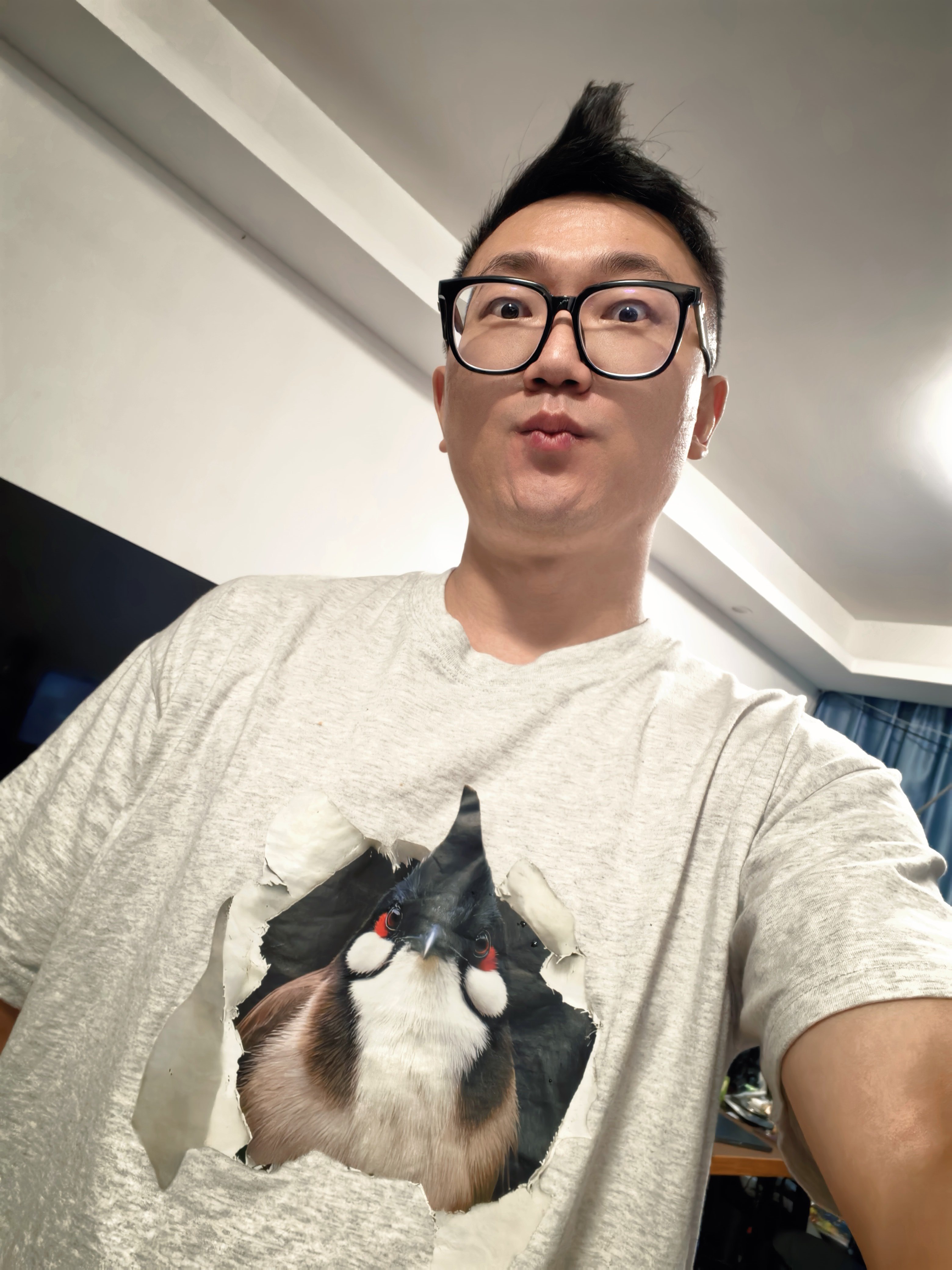 你会因为一个发型而喜欢一种小鸟吗晚安