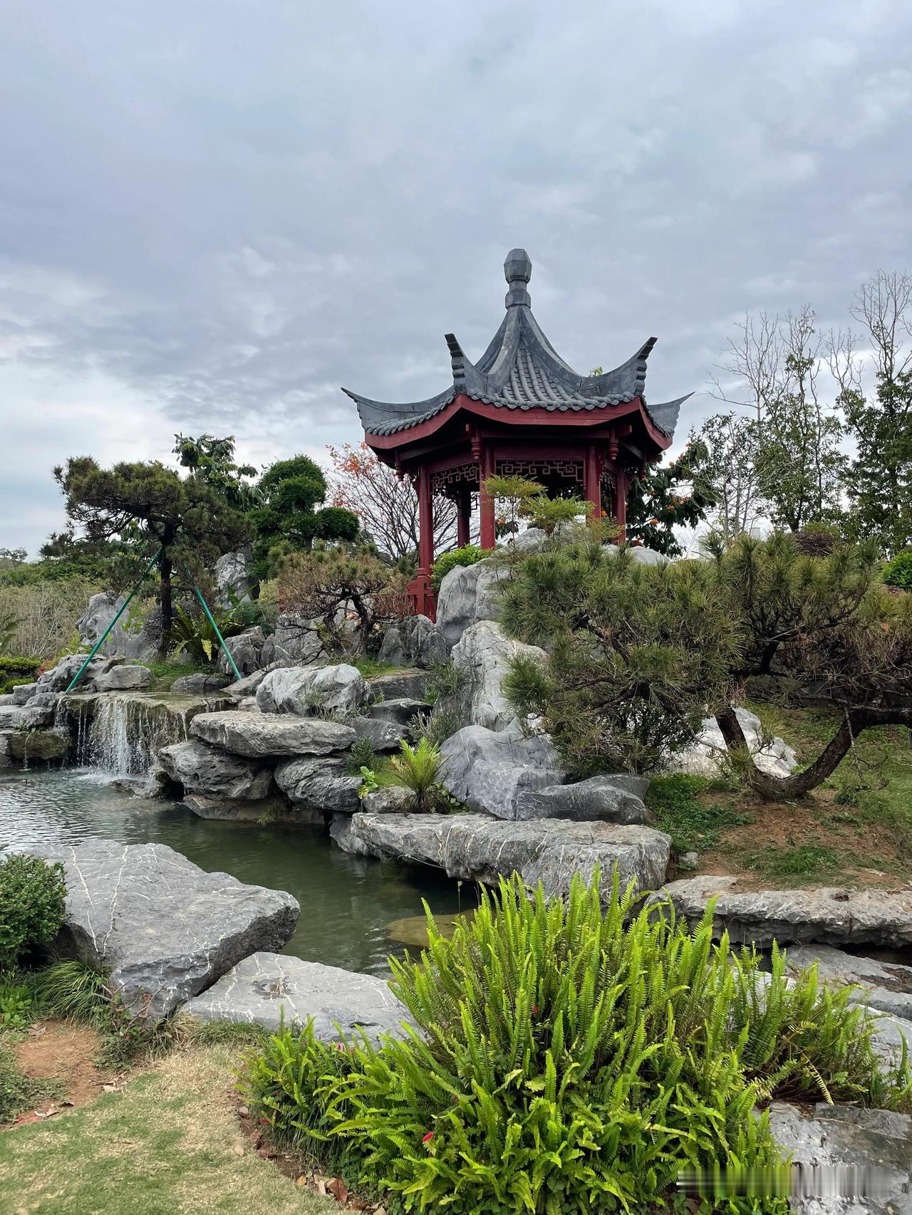 城市生活太紧绷，来东莞植物园偷个闲吧！
一入园，葱郁绿意便撞进眼帘。沿着蜿蜒小径