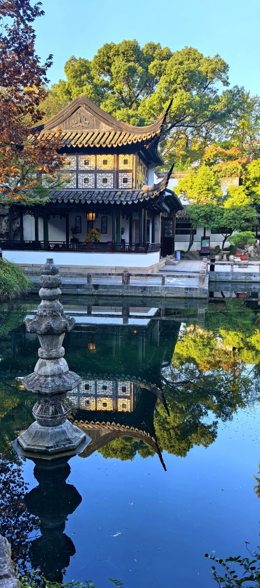 苏州留园，四大园林之一的诗意栖居。黛瓦粉墙映碧水，秋枫似火，银杏鎏金，藏在时光里