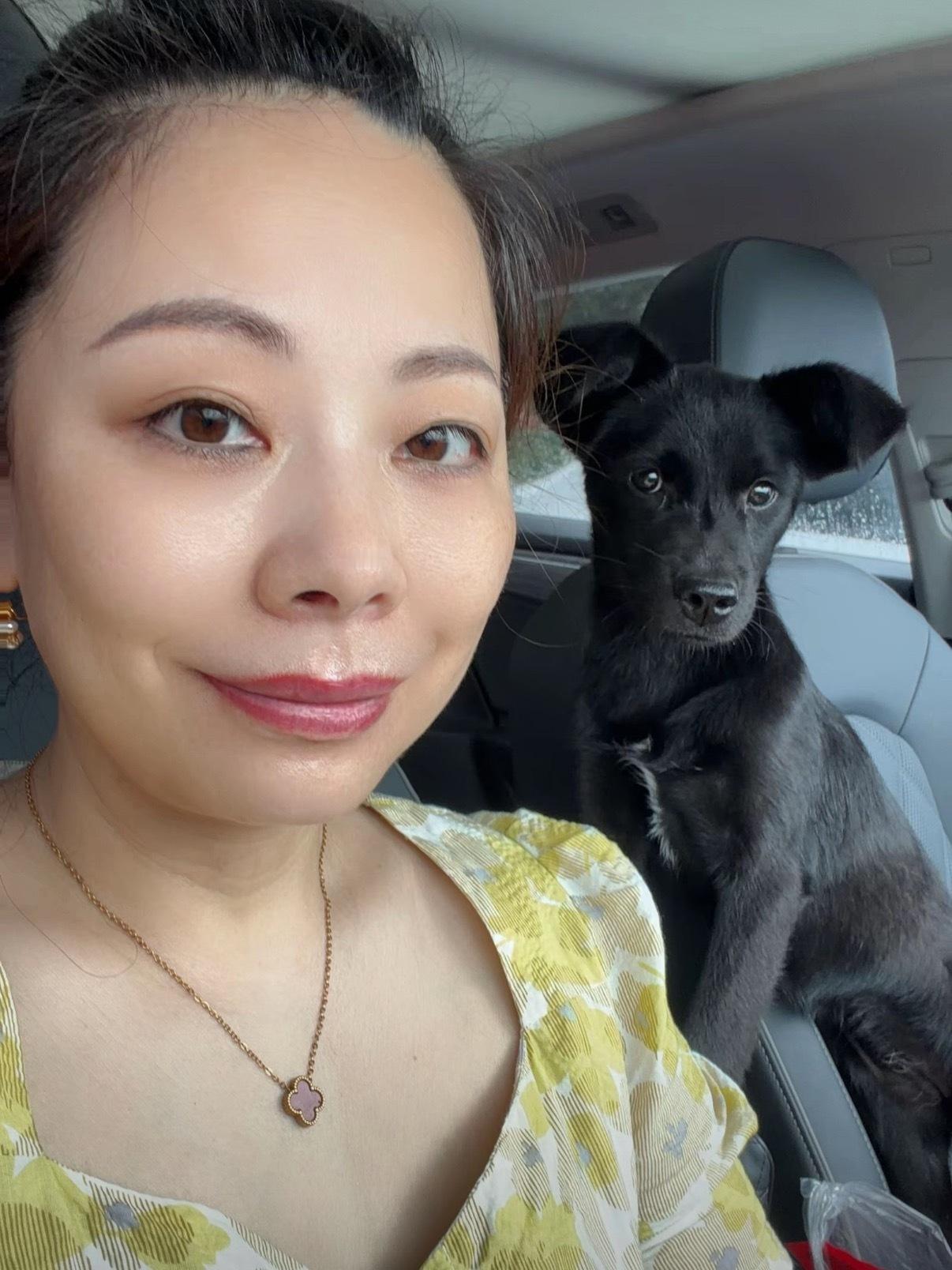在狗身上看到了主人的身影谁养的毛孩子就像谁真的一点没错