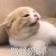 戴降噪耳机喝可乐别跟风了，这个声音有点大，真的舒服嘛？原理相当于骨传导，耳朵不接