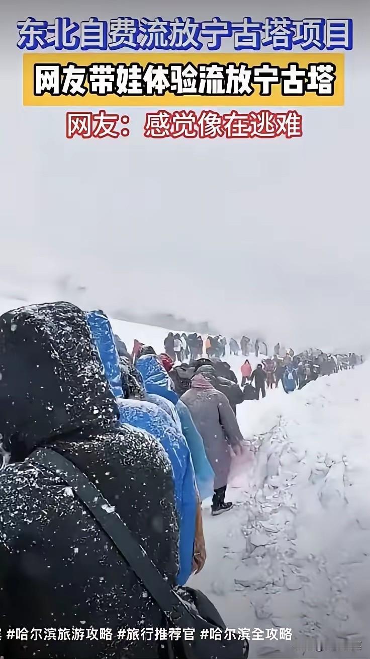 有人说他们吃的太饱了，
有人说他们又没妨碍别人，
有人说生命的意义在于体验，
有