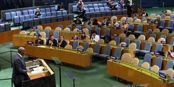 沙特、卡塔尔这些阿拉伯国家，竟和英法等西方国家凑一块儿，在联合国巴以会议上搞了个