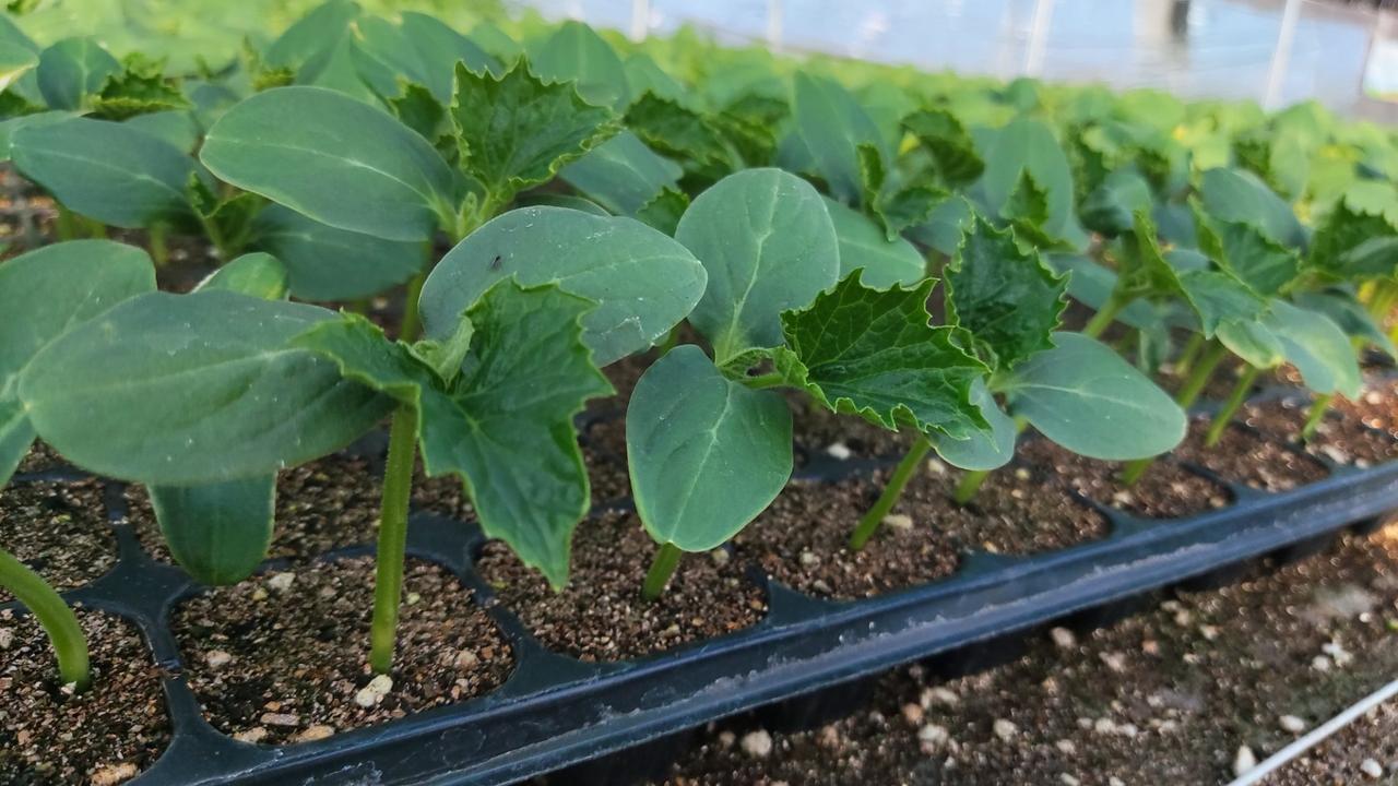 晒图笔记大赛希望～