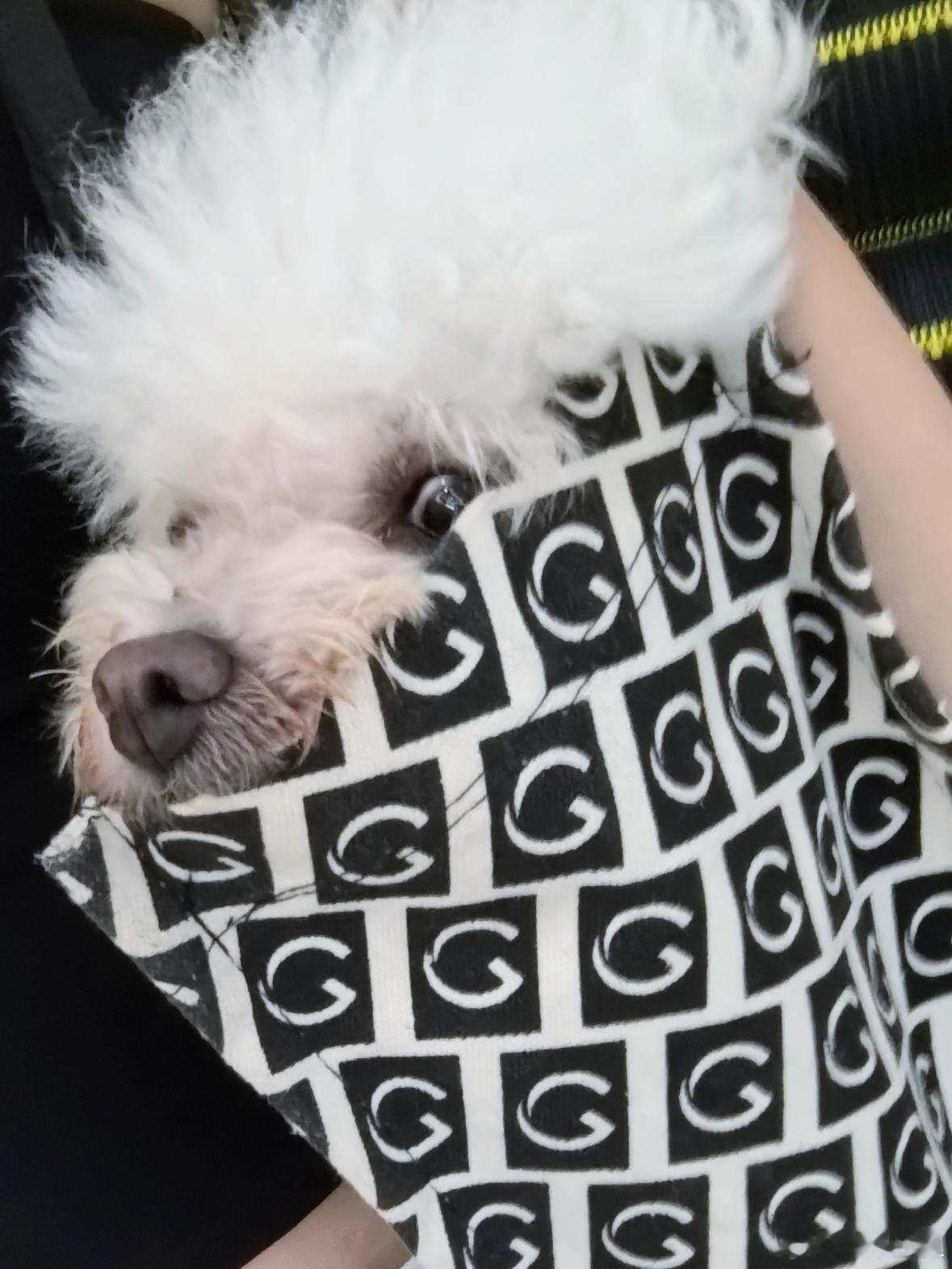 凑近点看 ​​​