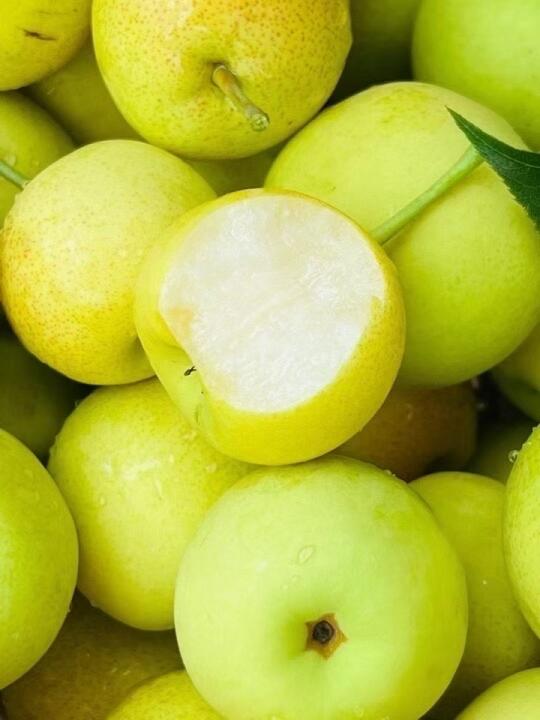 小香梨🍐来啦，入口化渣，脆甜多汁！