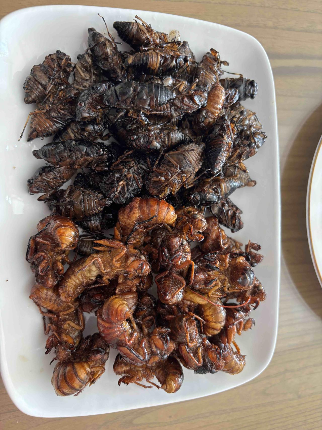 说岀一个菜名证明你是哪里人这个呢