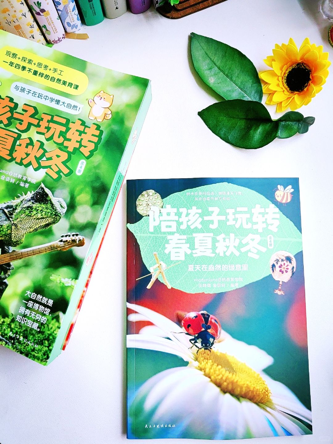 放下手机，亲近自然，陪孩子玩转春夏秋冬