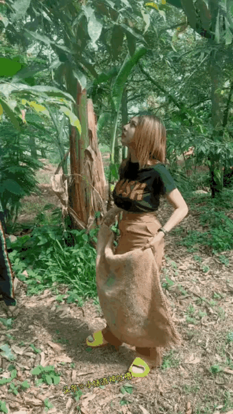 榴莲原来是这样收获的，没有点技术，这还接不住呢，应该树上有一个人专门负责往下砍，