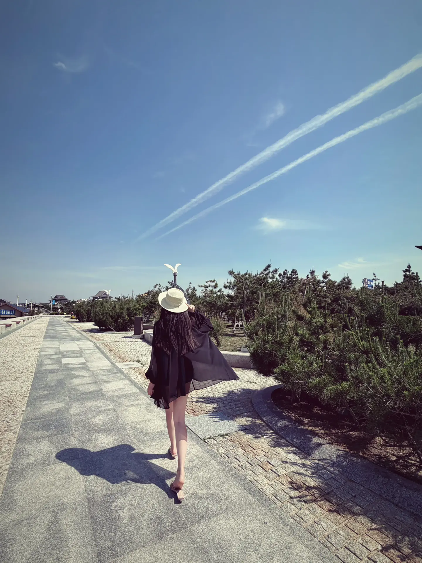 我仍旧向命运展示着我的单薄 柔美和蠢气 以祈求原谅 但靠近我 就能见识...