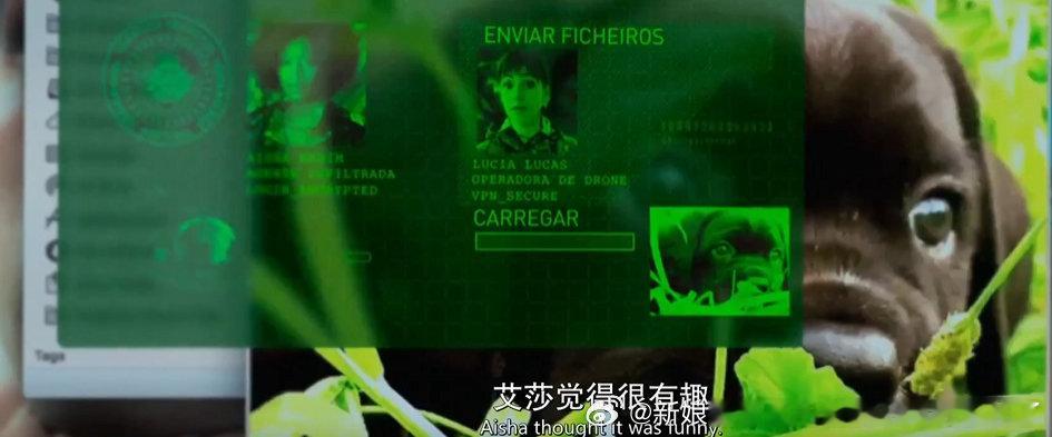 导演的嬷力显然在所有人之上，票儿确实在这个时期还是一个无法处理复杂的社会金融事务