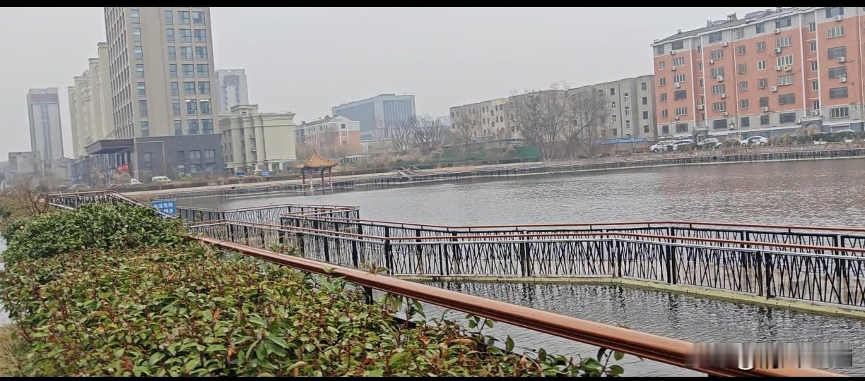 春雨濛濛，漫步庆云小西湖 
春雨如丝，轻轻笼罩着山东庆云小西湖，天地间笼着一层朦