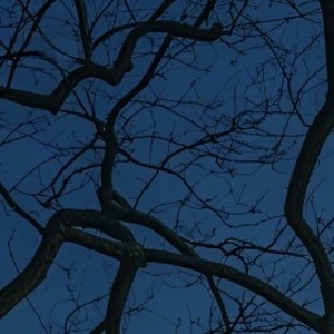 所有的努力都不会完全白费，你付出多少时间和精力，都是在对未来的积累。世界上什么都