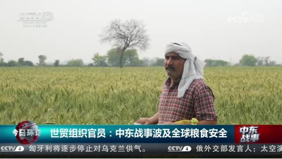 5月8日最新权威报告出炉，中东战火正在硬生生抬高全世界的粮食成本，全球粮价已经连