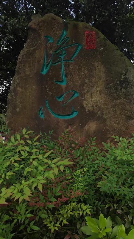 人生宛如一场风雨兼程的旅程，我们总是在外奔波忙碌，一心追逐功名利禄，却忽略了内心