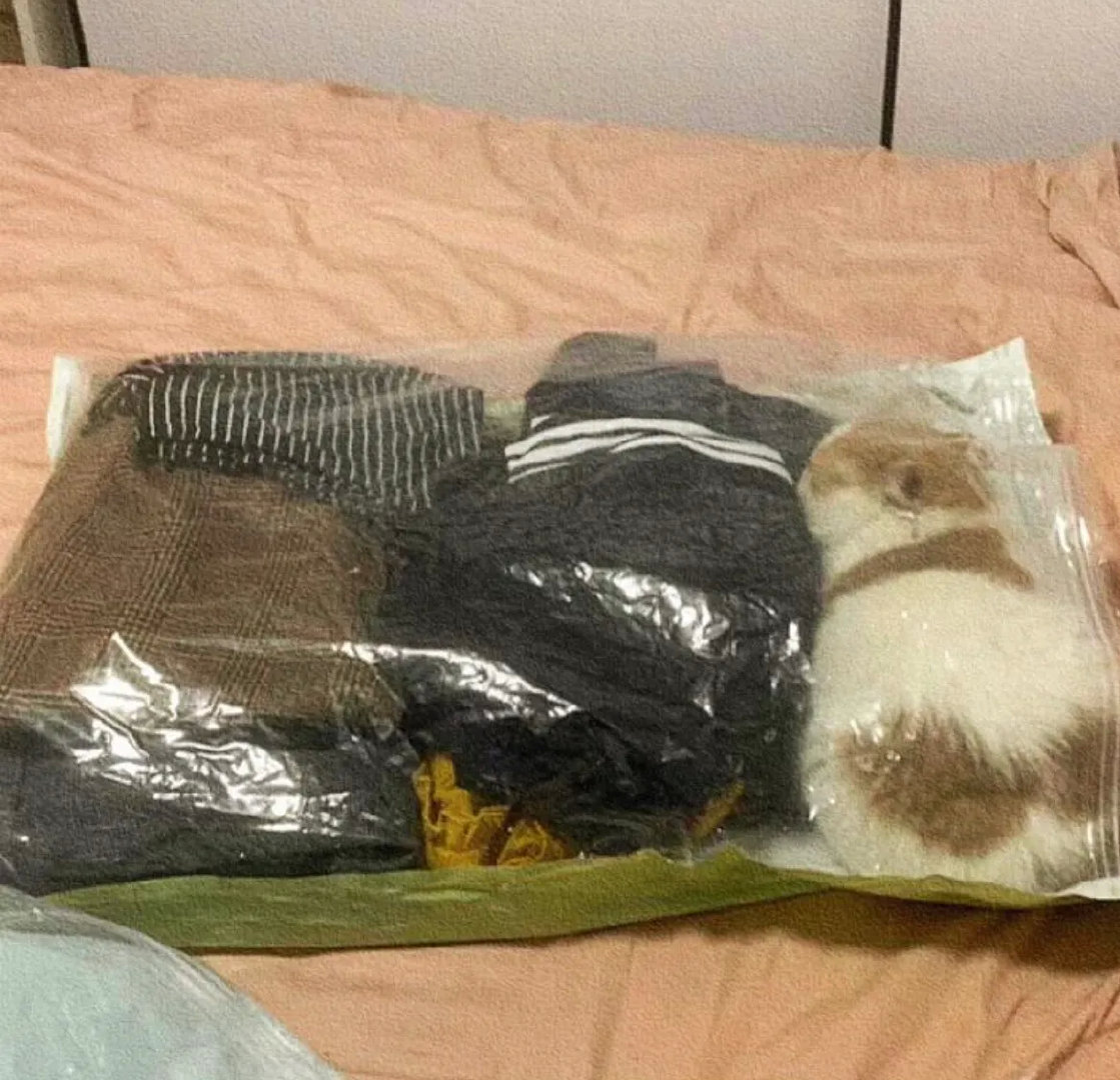 收拾衣服的时候发现猫咪不见了，找了半天原来躲衣服里面去了…