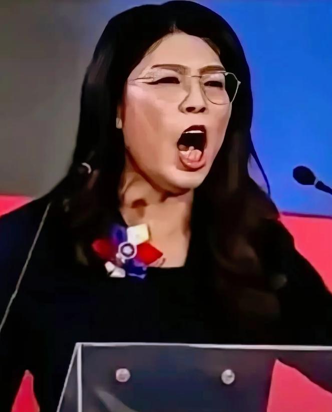 这下彻底热闹透了！两岸乃至国际上的目光全聚过来，台湾地区国民党负责人郑丽文的一句