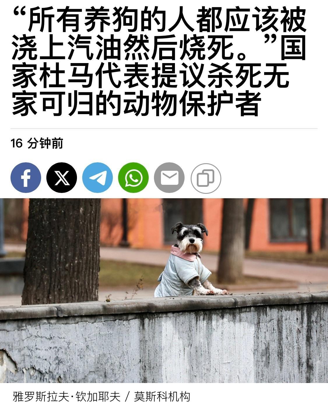 俄罗斯代表知道他的总统普京和隔壁的总统卢卡申科也养狗吗[咖啡] ​​​