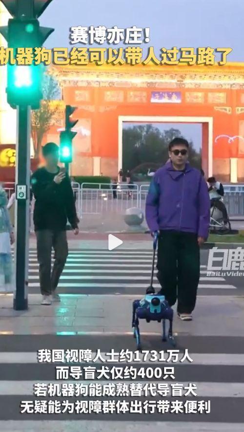 全球首个参加马拉松的机器导盲犬科技从不只是冰冷技术，更是守护弱势群体的温柔力量。