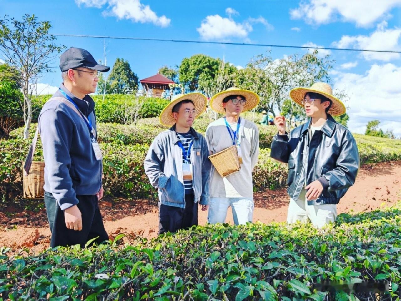 🌿普洱采茶记：把时光揉进茶香里，做一日山野茶人🍵

北回归线穿过的秘境里，藏