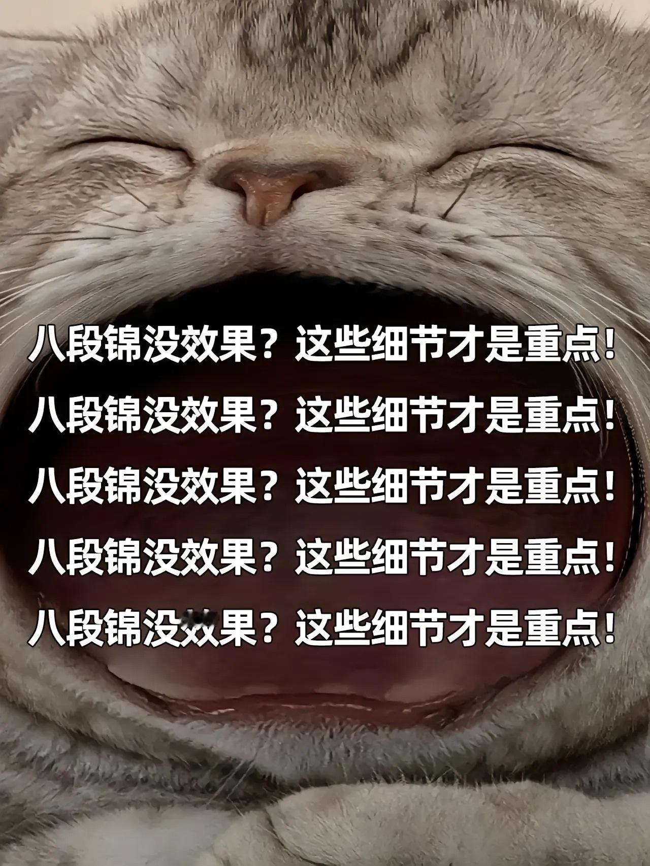 练习八段锦之前一定要知道这些细节！！！#练八段锦的细节# ​​​