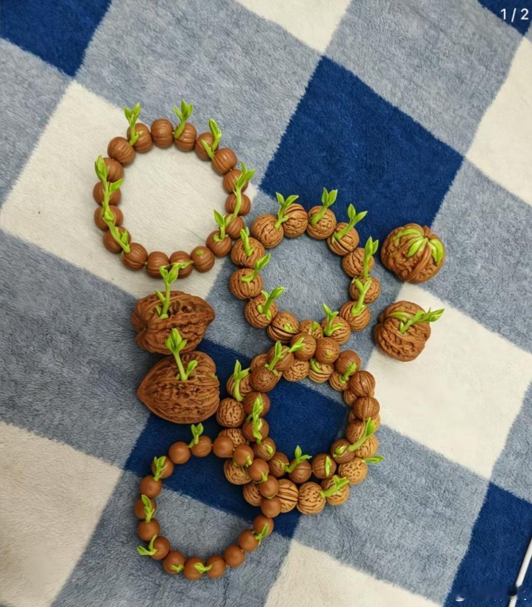 这真的假的？发芽了 